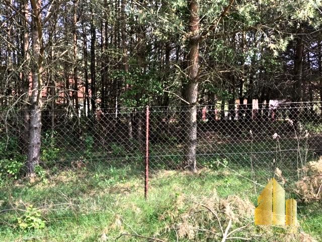 Działka inna Zofiówka