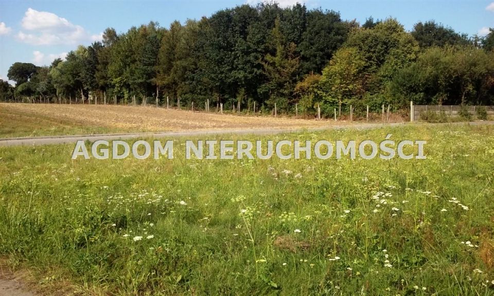 Działka budowlana Lipno