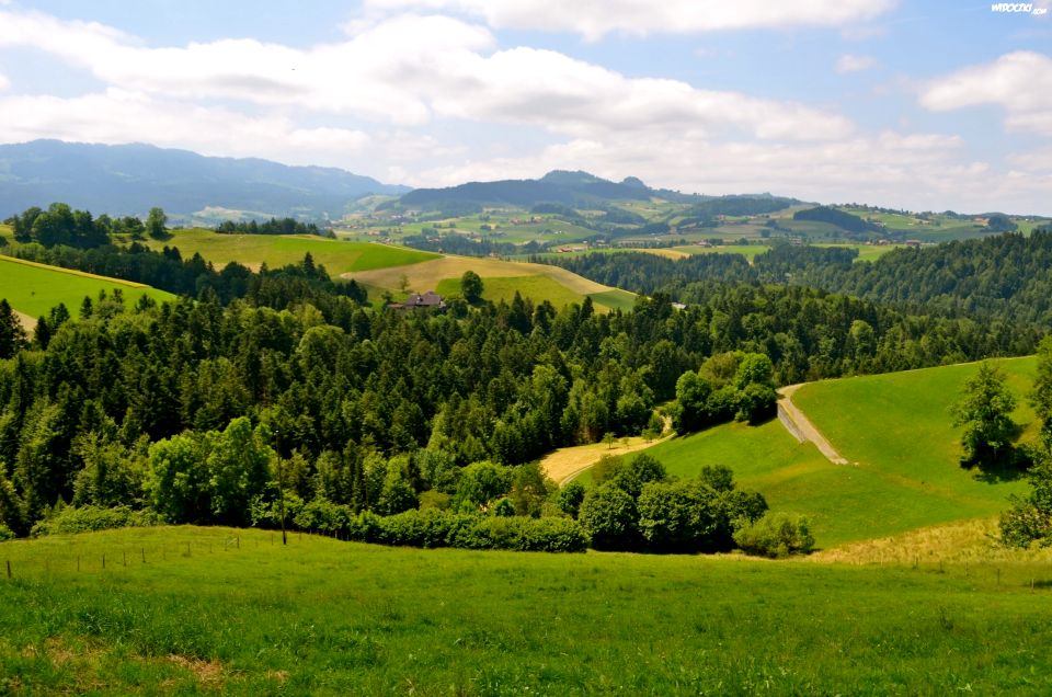 Działka budowlana Olszyniec