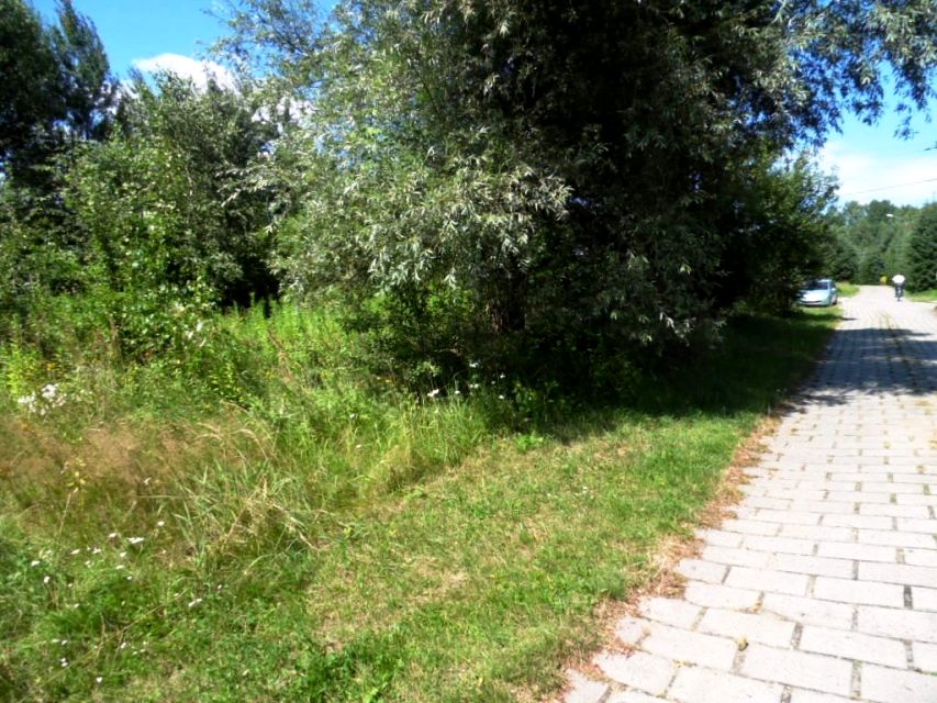 Działka Rybnik