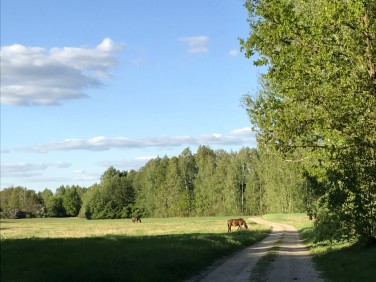 Działka budowlana Zaręby