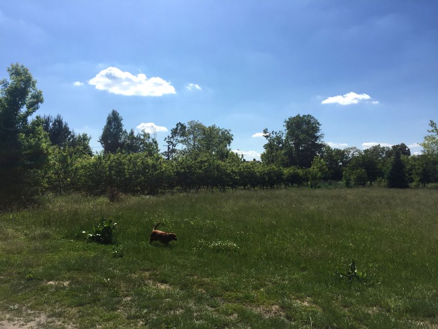 Działka budowlana Ojrzanów