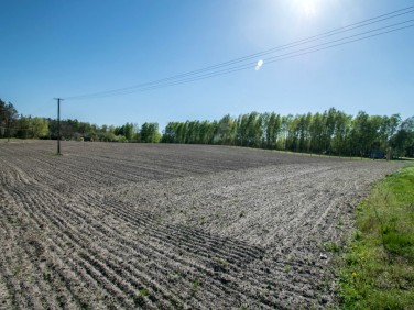 Działka budowlana Podgłębokie