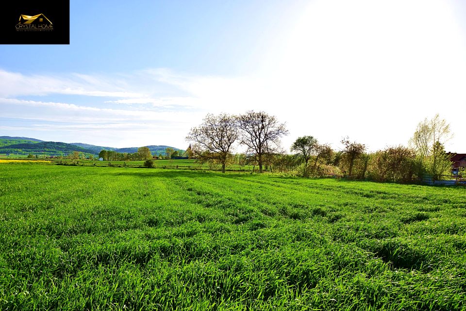 Działka rolna Lutomia Dolna