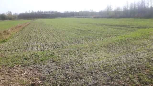 Działka budowlana Warszawa