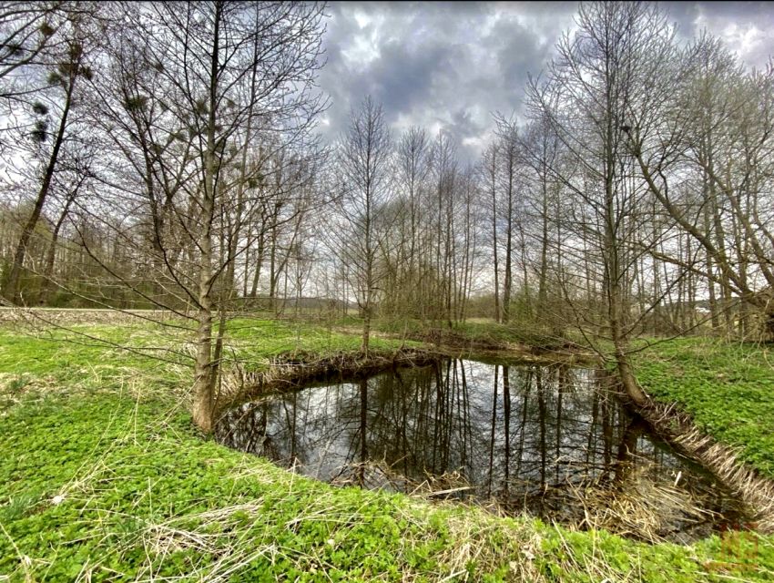 Dom Kantorówka
