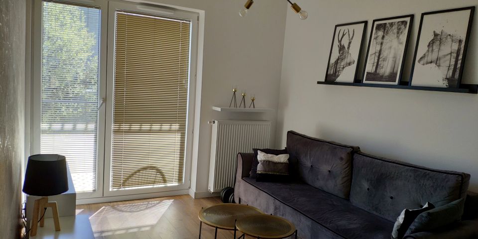 Mieszkanie apartamentowiec wynajem