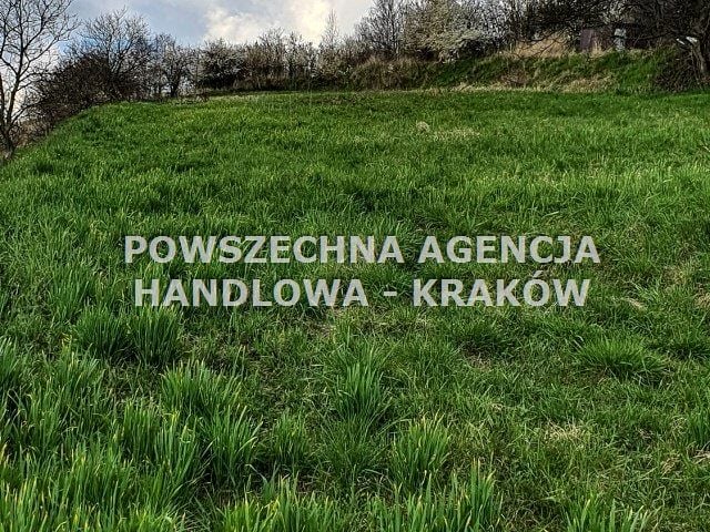 Zdjęcie 2