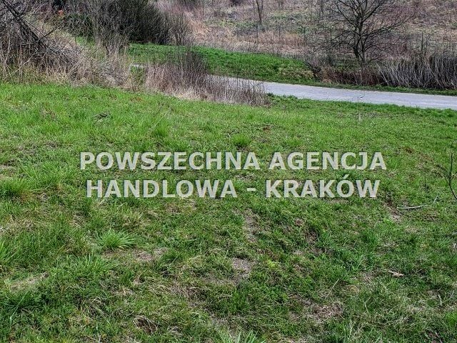 Zdjęcie 3