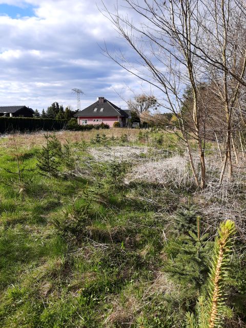 Działka budowlana Szczecin Motaniec