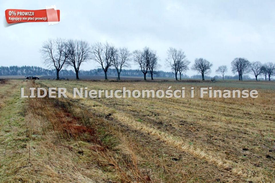 Pusta działka Chocielewko