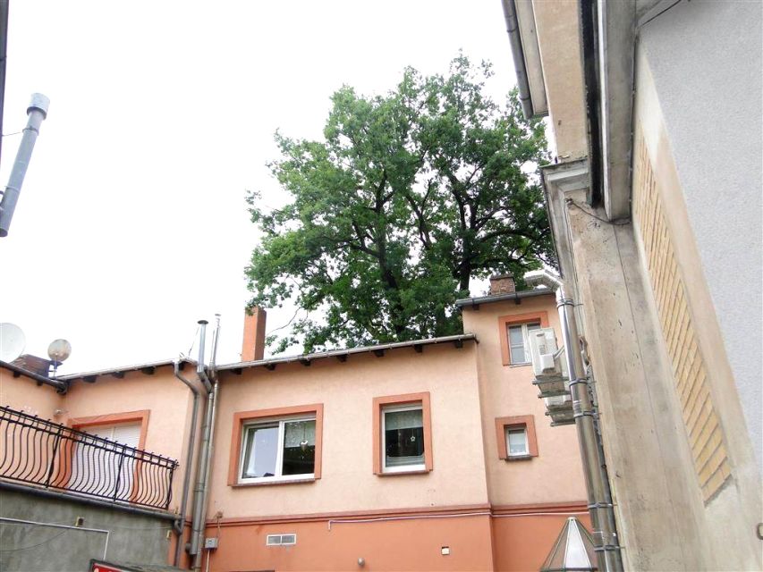 Dom Zielona Góra