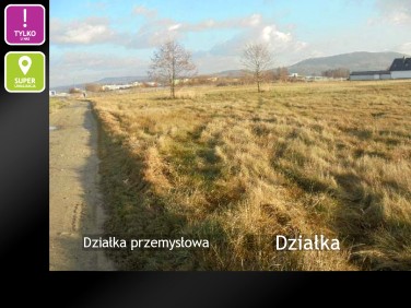 Działka inna Żywiec