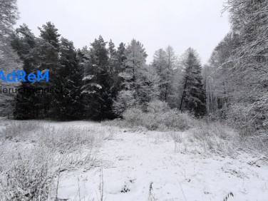 Działka siedliskowa Gawiniańce