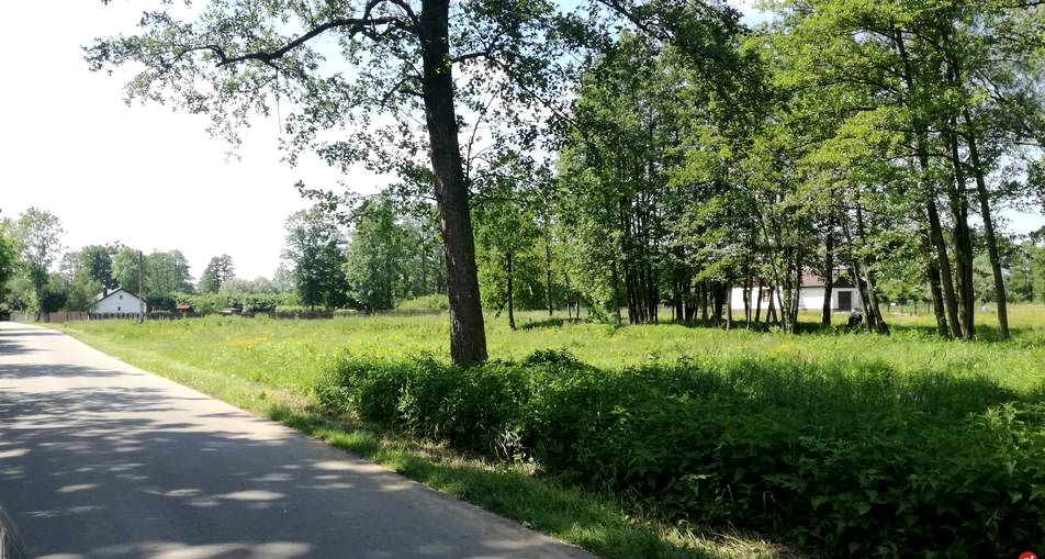 Działka budowlana Wilków Polski