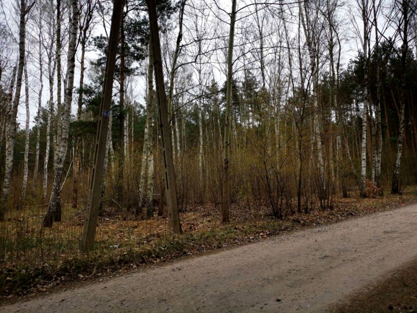 Działka leśna Józefów