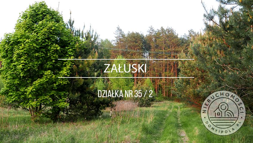 Działka Załuski