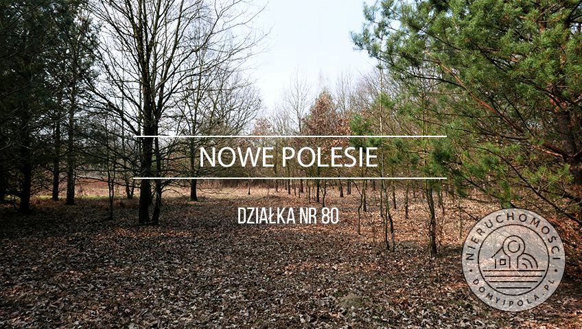 Działka siedliskowa Nowe Polesie