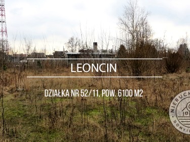 Działka Leoncin