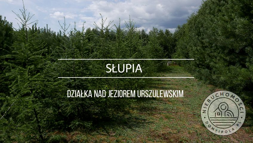 Działka budowlana Słupia