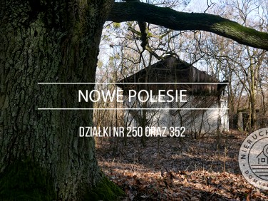 Działka siedliskowa Nowe Polesie