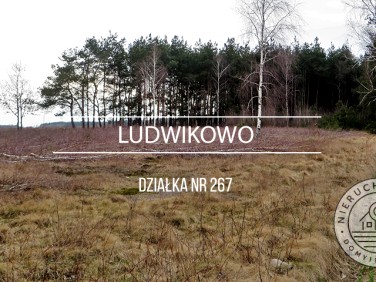 Działka siedliskowa Ludwikowo