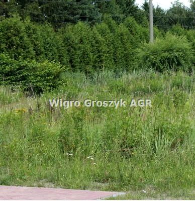 Działka budowlana Koczargi Stare