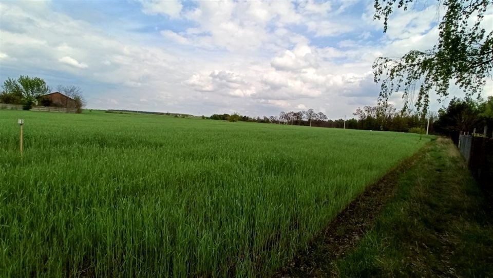 Działka rekreacyjna Szadek sprzedam