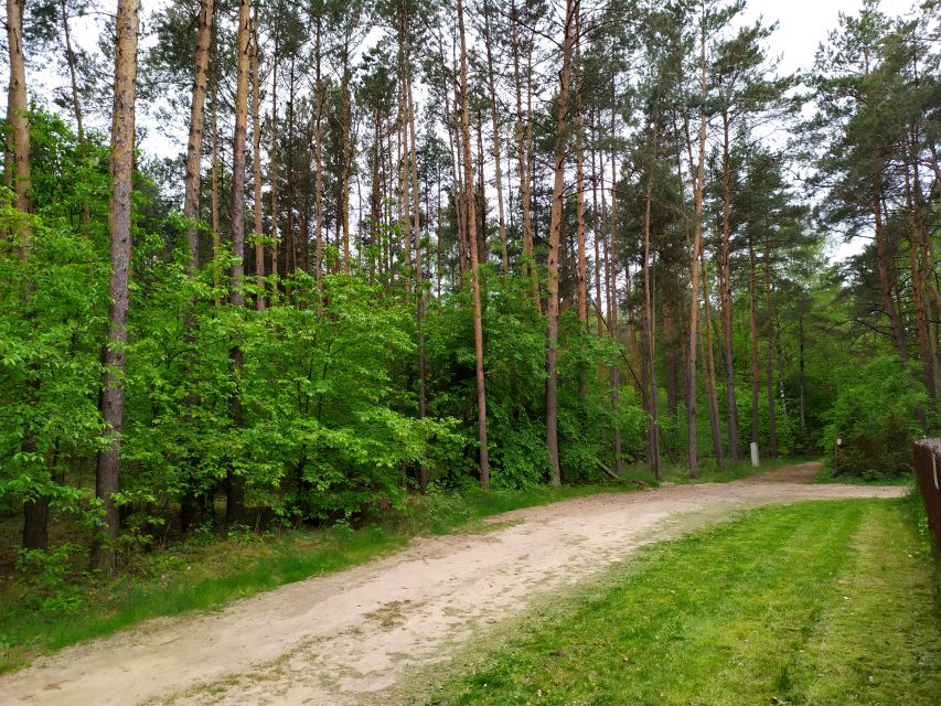 Działka budowlana zofiówka