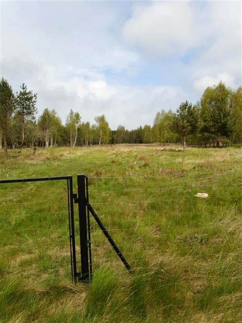 Działka budowlana Lubiatowo sprzedam