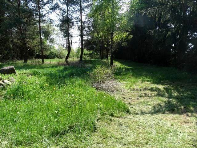 Zdjęcie 2