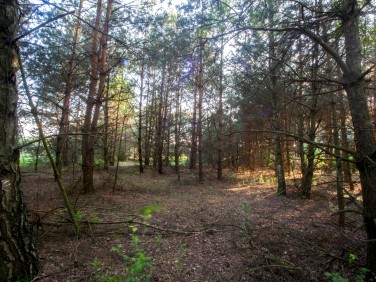 Działka rekreacyjna Uścieniec-Kolonia