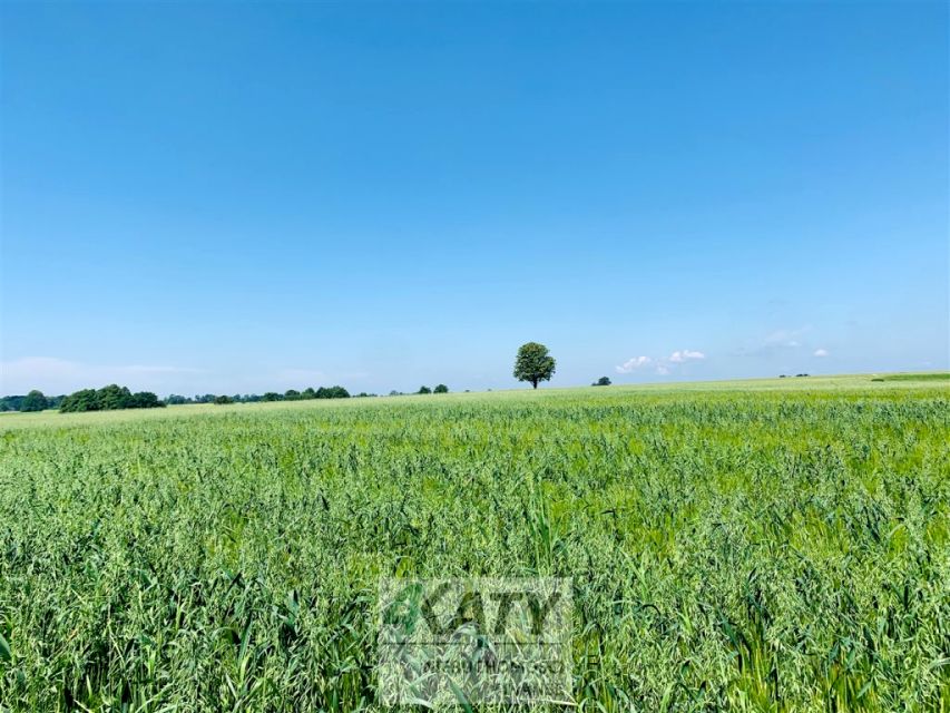 Działka Rudołtowice