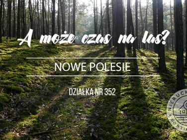 Działka leśna Nowe Polesie