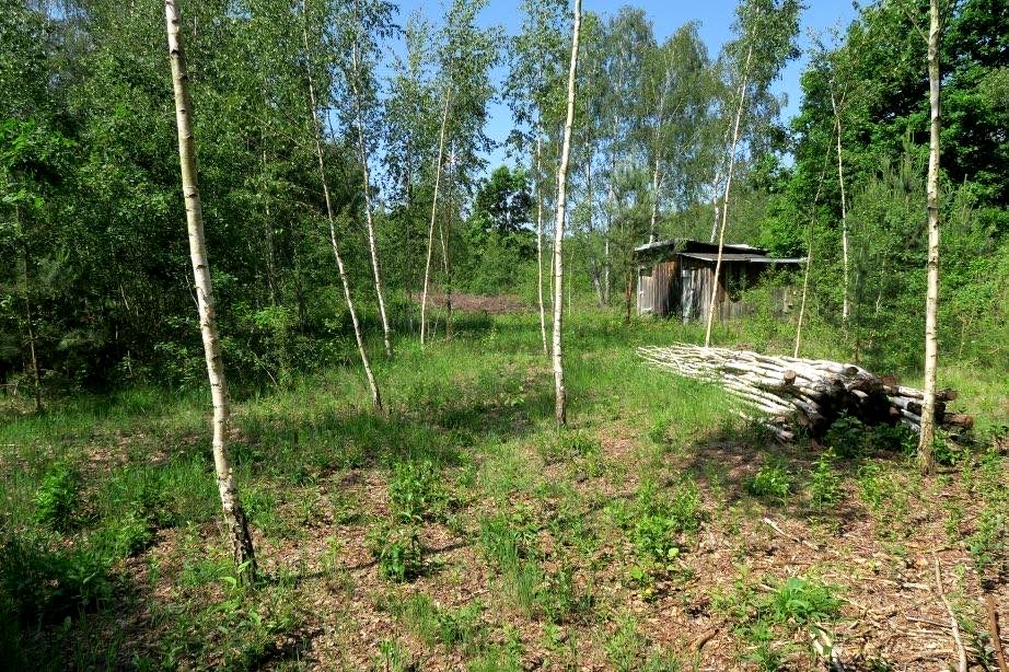 Działka siedliskowa Popielarnia