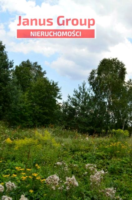 Sprzedam dziąłki w Woli Mikorskiej Wola Mikorska