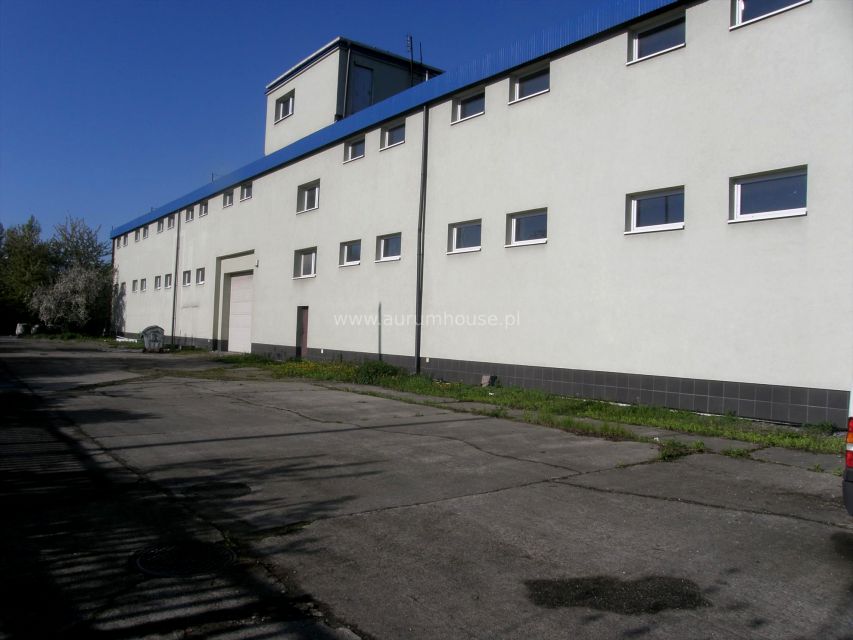 Lokal Kraków