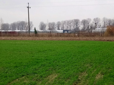 Działka rolna Płochocin