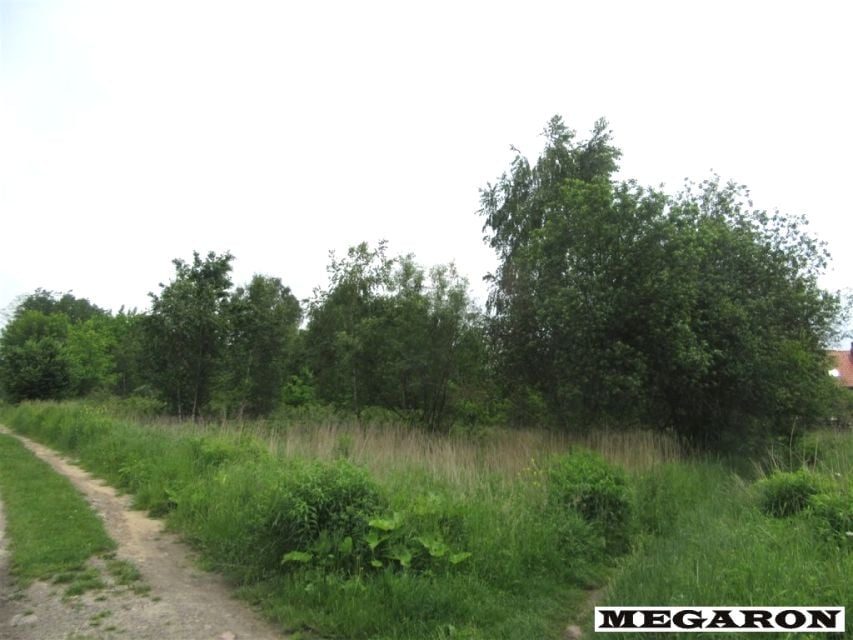 Zdjęcie 2