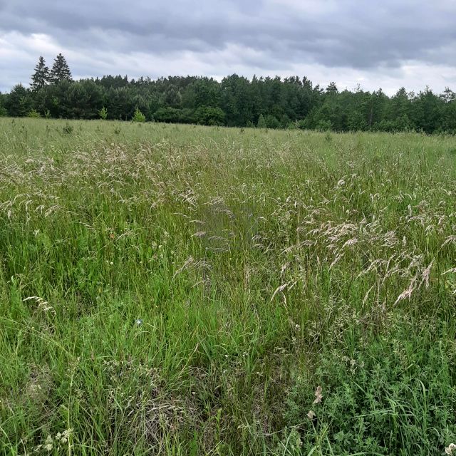 Działka budowlana Doratynka