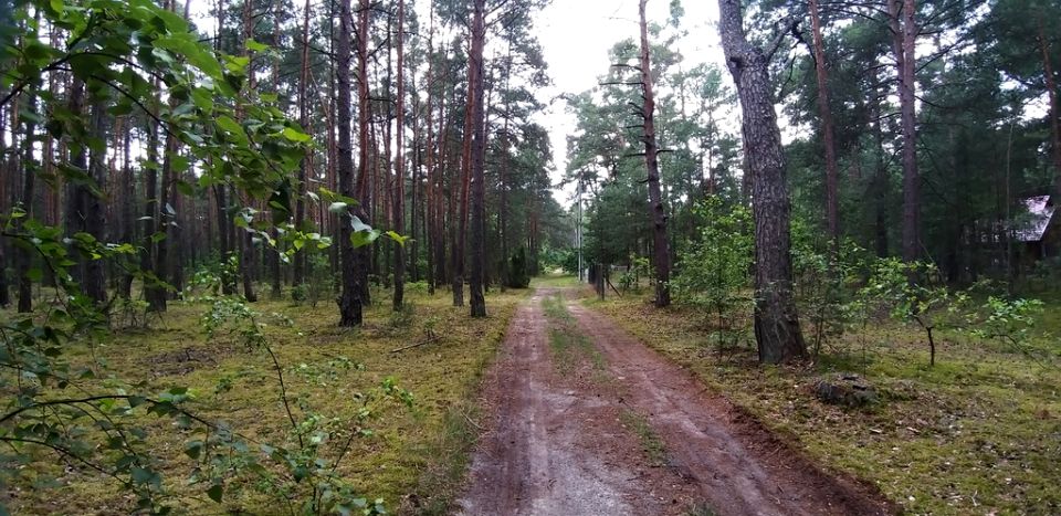 Działka rekreacyjna Osiedle Wilga