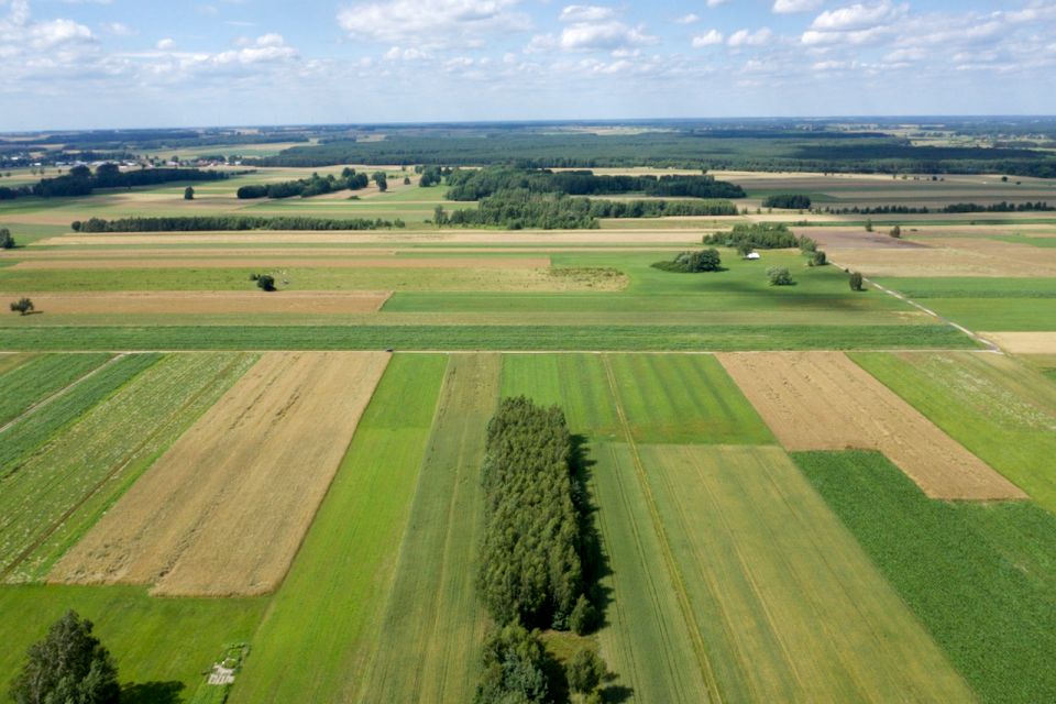 Działka Grodzisk