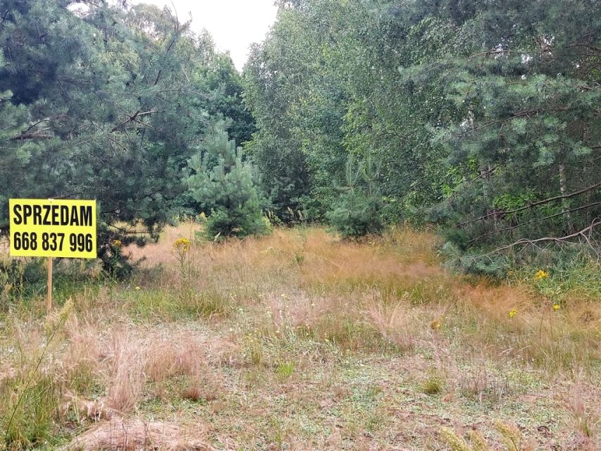 Zdjęcie 3