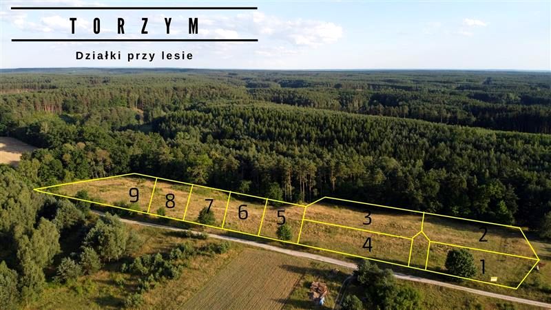 Działka inna Torzym