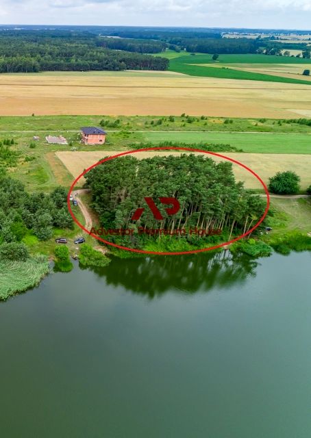 Działka leśna Przyborowo