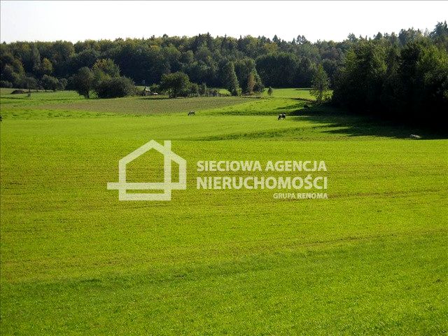 Działka Kartuzy