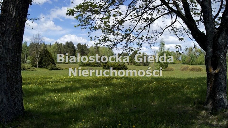 Zdjęcie 3