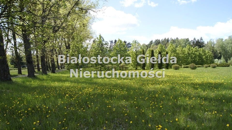 Zdjęcie 4