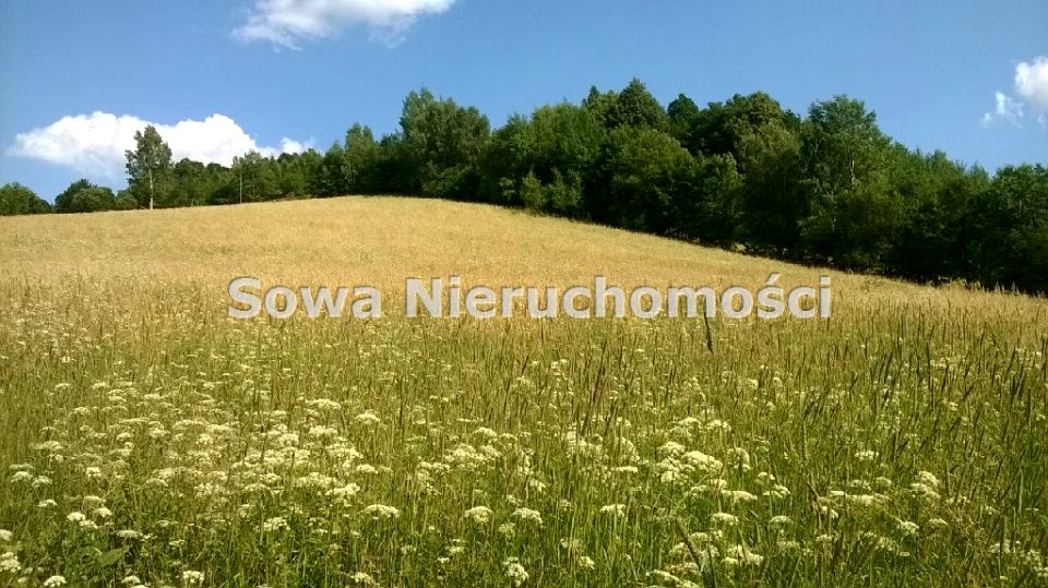 Działka rekreacyjna Jugowice