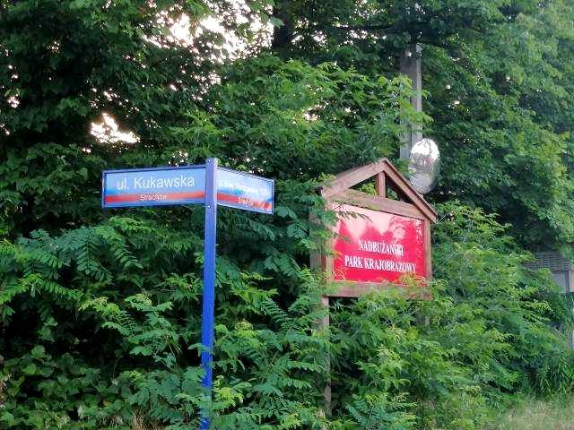 Działka leśna Strachów